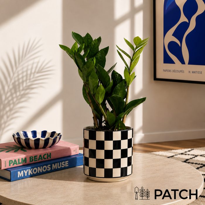 PATCH Cassie in Chess Black Pot