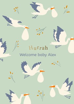 Hurrah Welcome Baby Illustrated New Baby Card