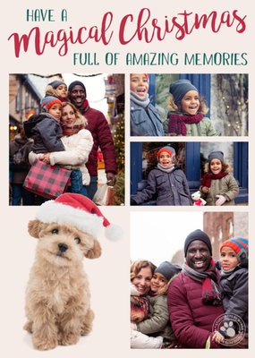 Studio Pets Have A Magical Christmas Photo upload Card