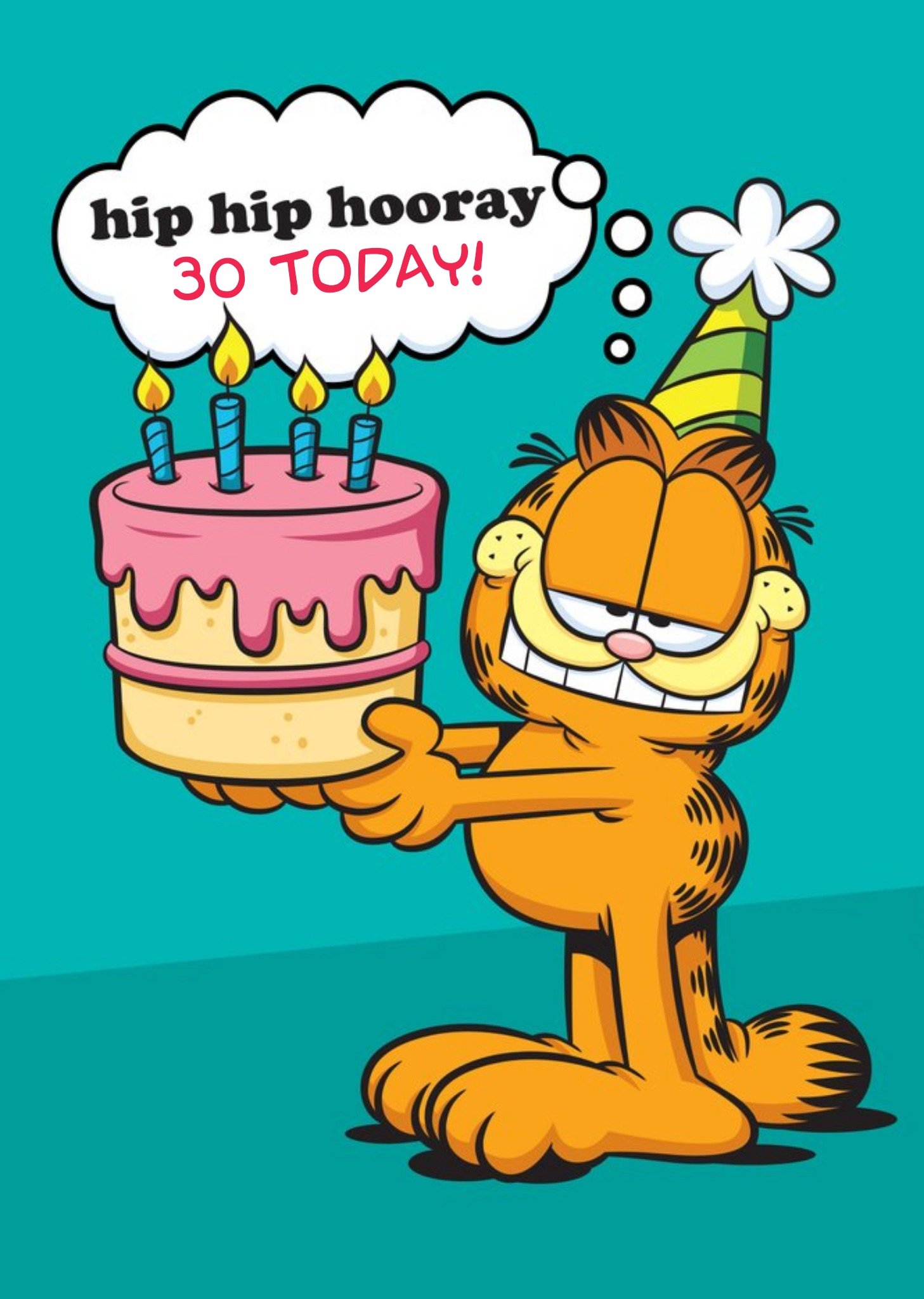 Nickelodeon Garfield Hip Hip Hooray 30th Birthday Card