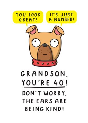 The Ears Are Being Kind Grandson 40th Birthday Card