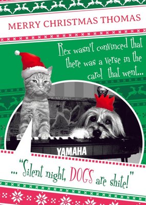 The Cat At Christmas Funny Animal Card