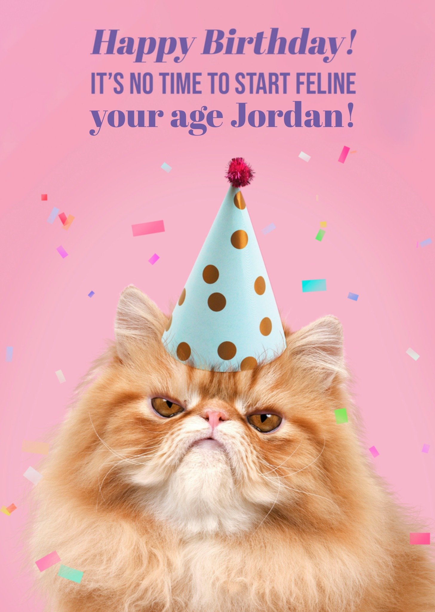 Moonpig It's No Time To Start Feline Your Age Birthday Card Ecard
