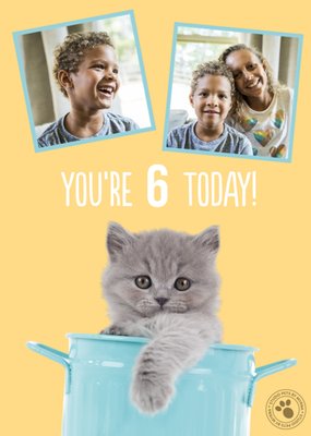 Studio Pets Kitten 6 Today Photo Upload Birthday Card