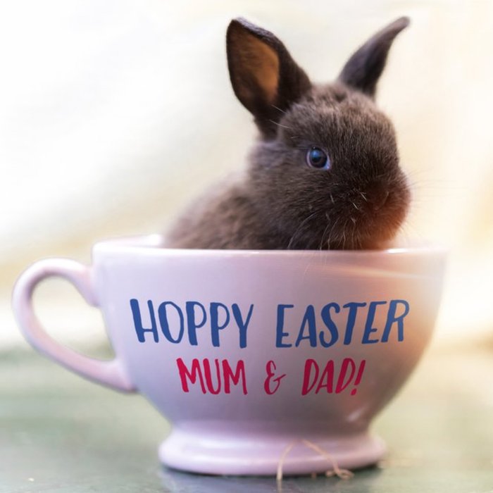 Bunny In A Teacup Happy Easter Card