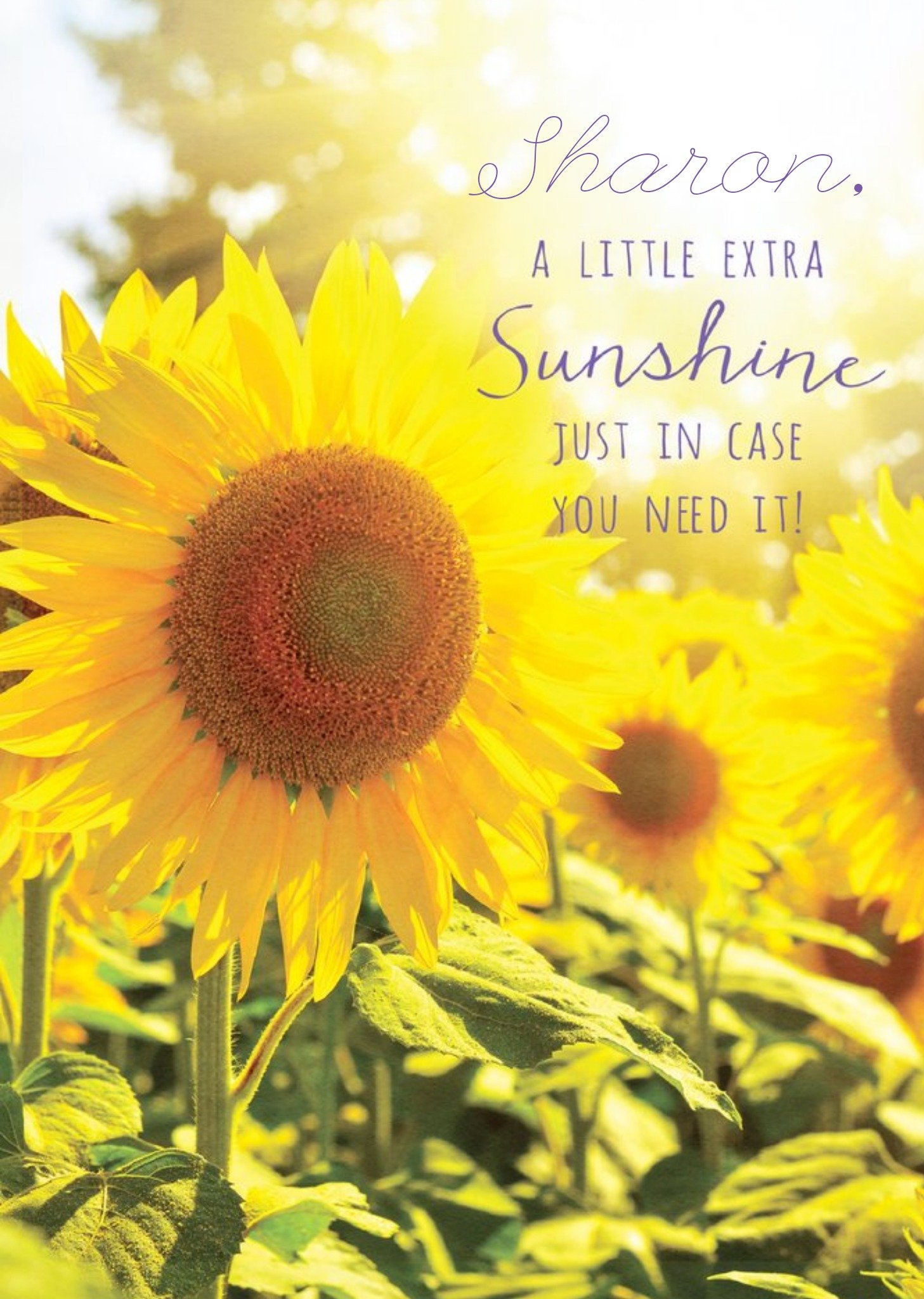 Moonpig Pigment A Little Extra Sunshine Card
