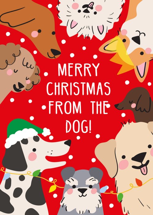 Scribbler Merry Christmas From The Dog Illustrated Card