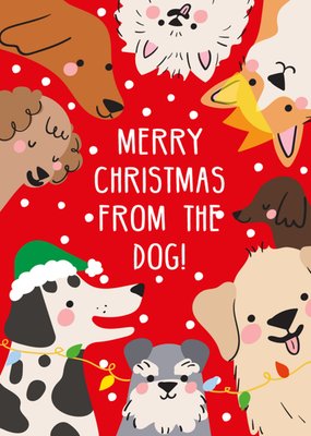 Scribbler Merry Christmas From The Dog Illustrated Card