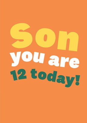 Typographic Son You Are 12 Today Birthday Card