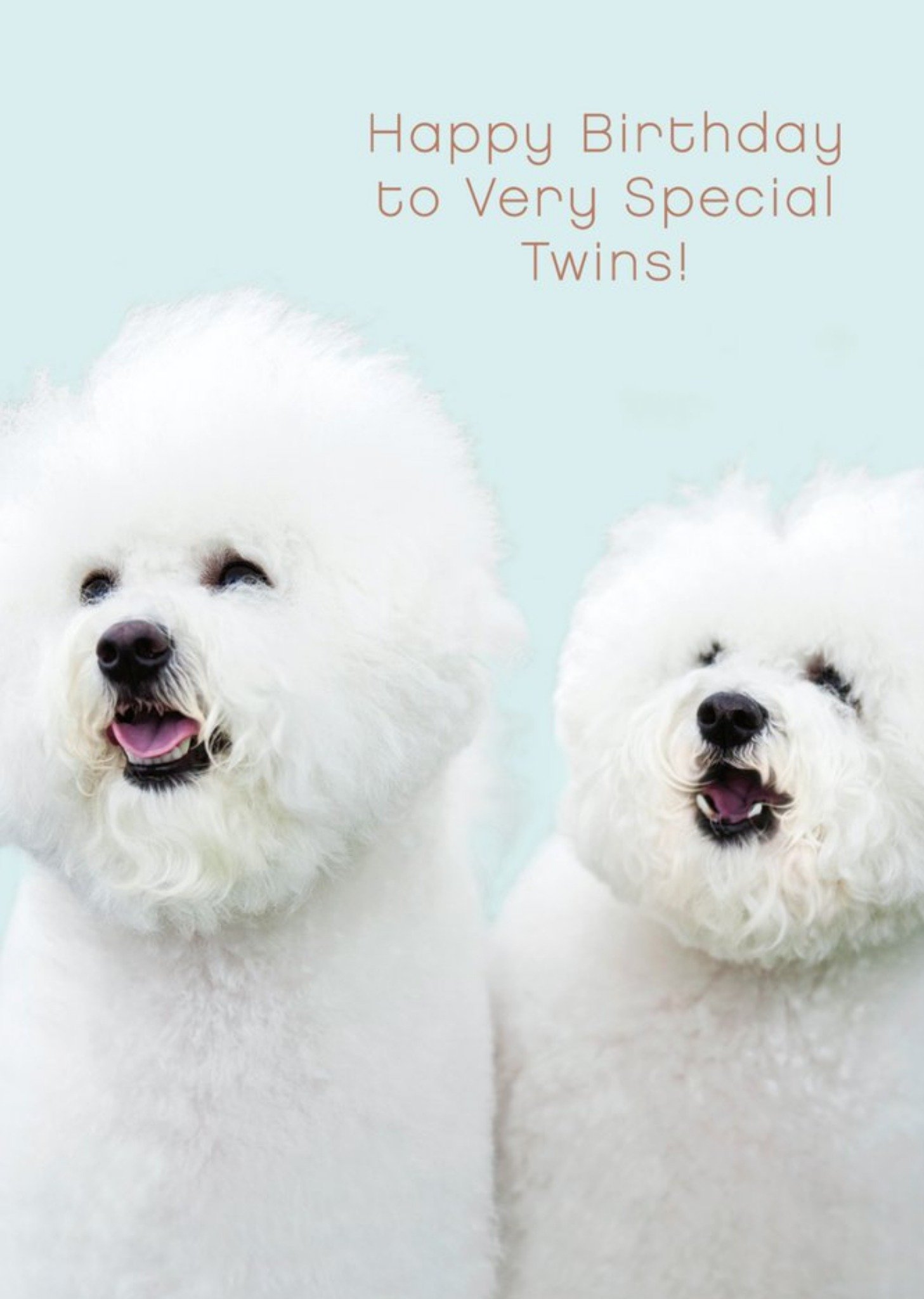 Moonpig Uk Greetings Carlton Cards Dogs Cute Special Twins Birthday Card