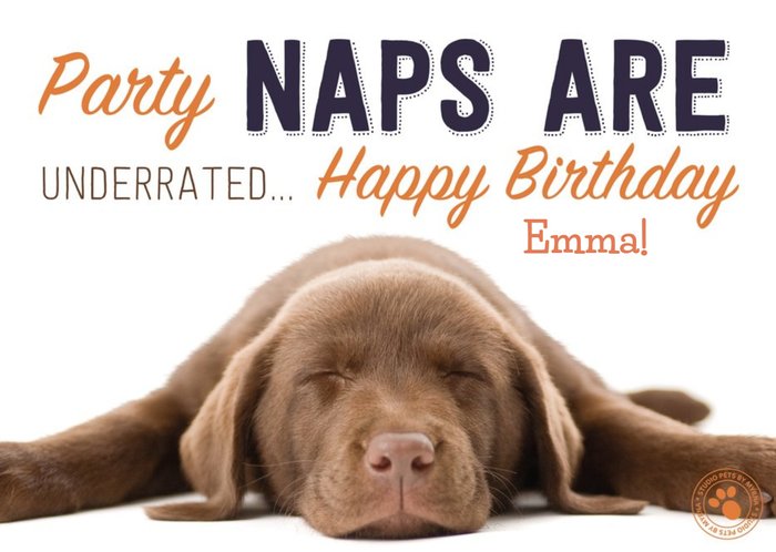 Happy Birthday Party Naps Are Underrated Card