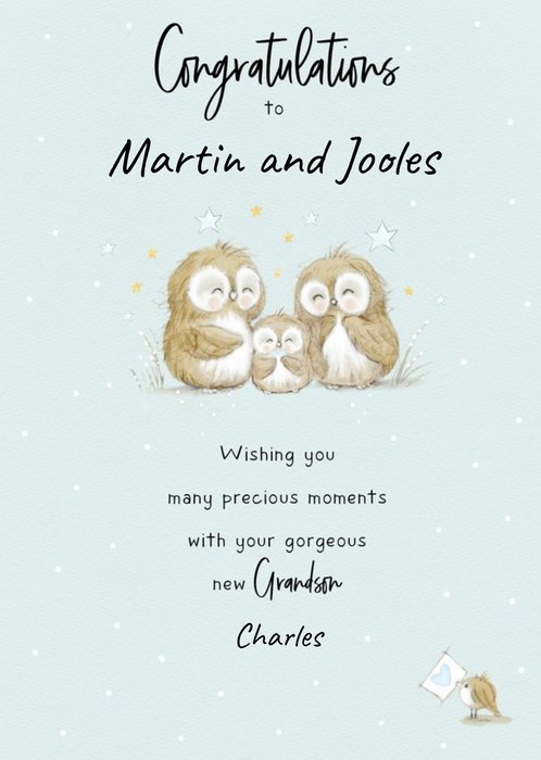 Illustrated Owls Customisable New Grandparents Card