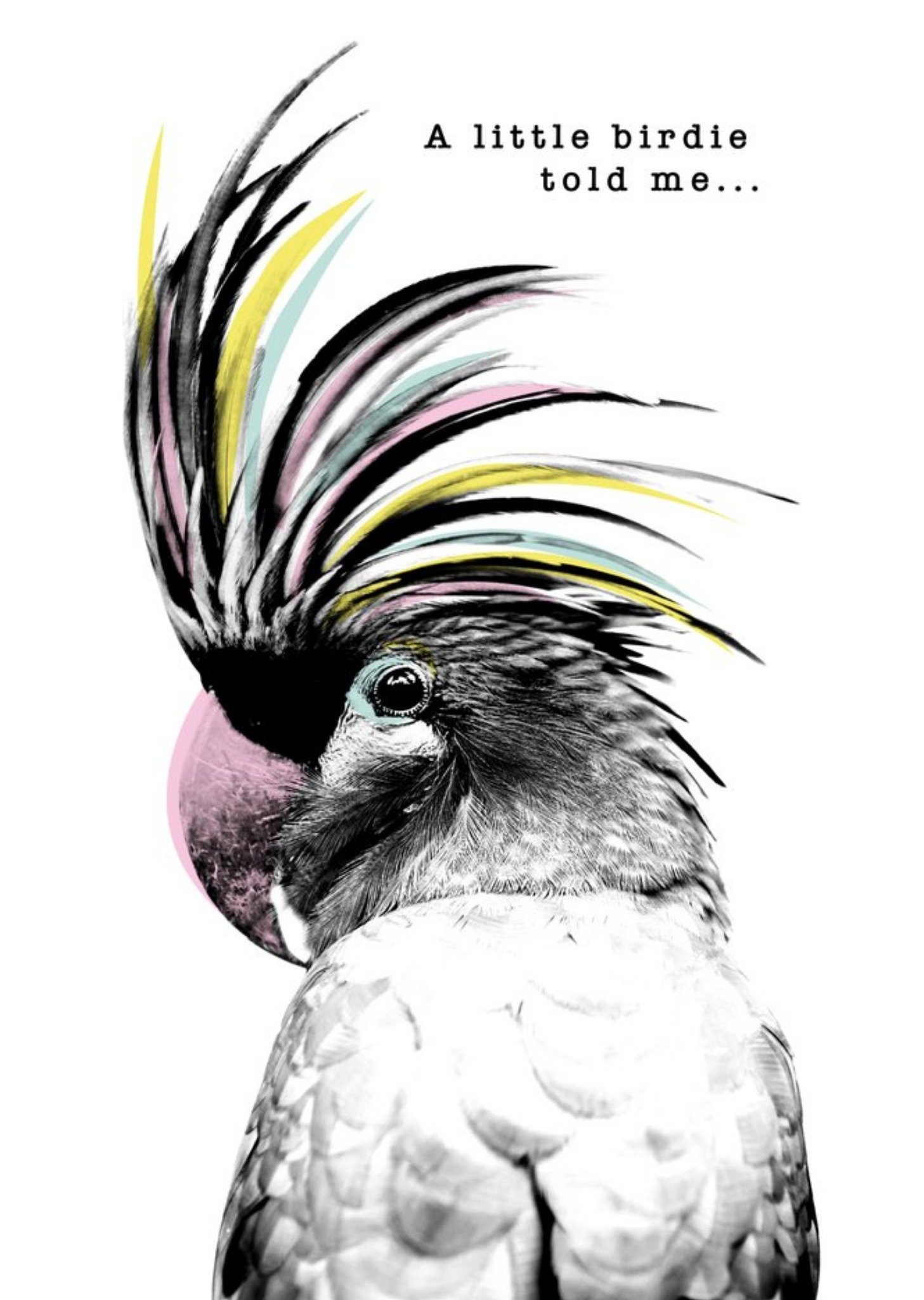 Moonpig Modern Design Parrot A Little Birdie Told Me Card