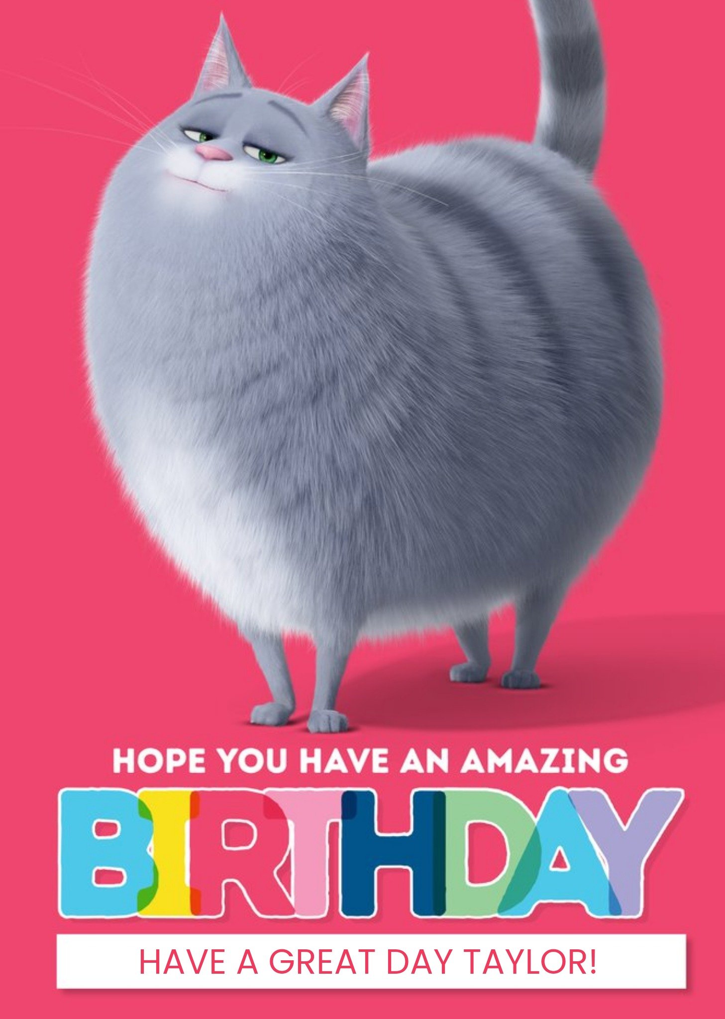Moonpig Universal Secret Life Of Pets 2 Kids Amazing Birthday Card Featuring Chloe The Cat