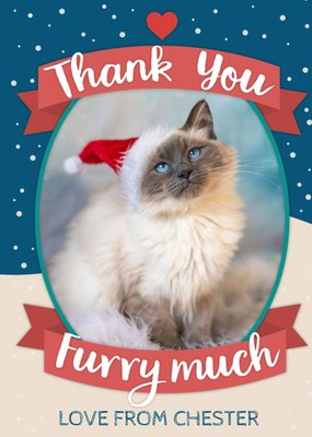 Pet Photo Upload Thank You Furry Much From The Pet Christmas Card