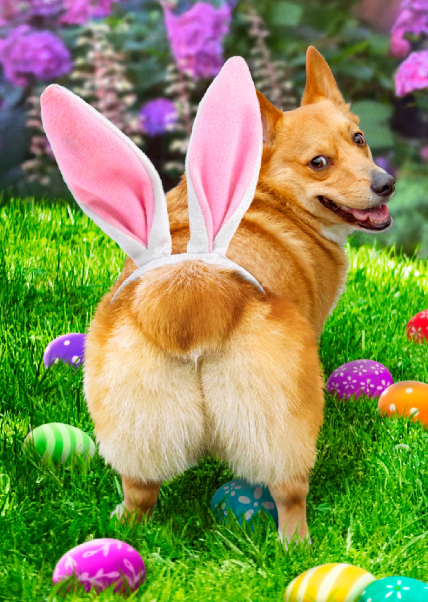 Moonpig Cute Dog Wearing Bunny Ears On It's Bum Easter Card