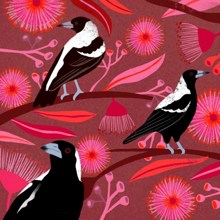 Cat MacInnes Illustration Birds Australia Just A Note Card