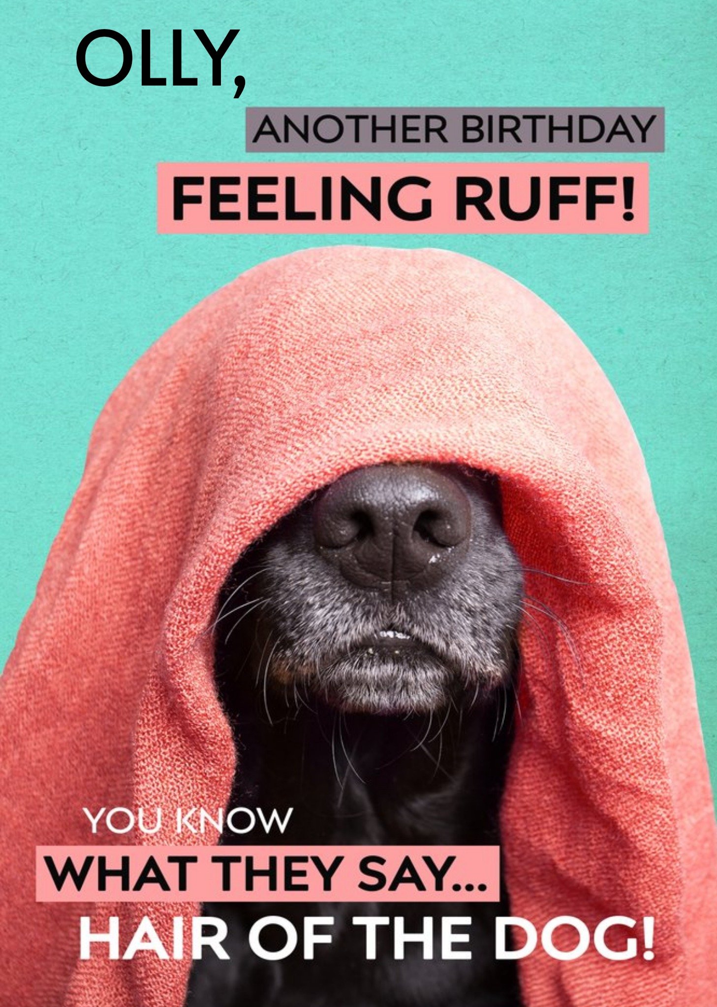 Moonpig Birthday Card - Photo Humour - Animal Antics - Hair Of The Dog