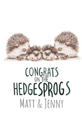 Cute Illustrated Family of Hedgehogs Congratulations Card