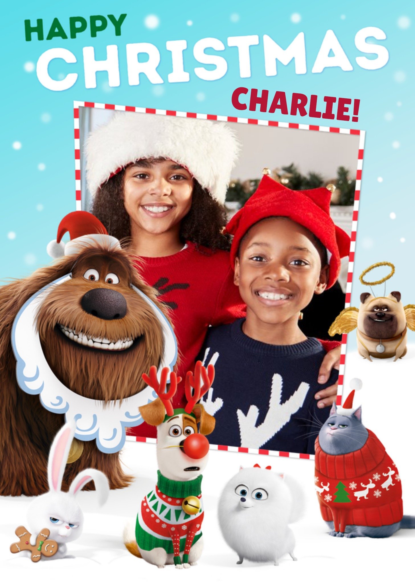 Moonpig Secret Life Of Pets 2 Kids Photo Upload Christmas Card