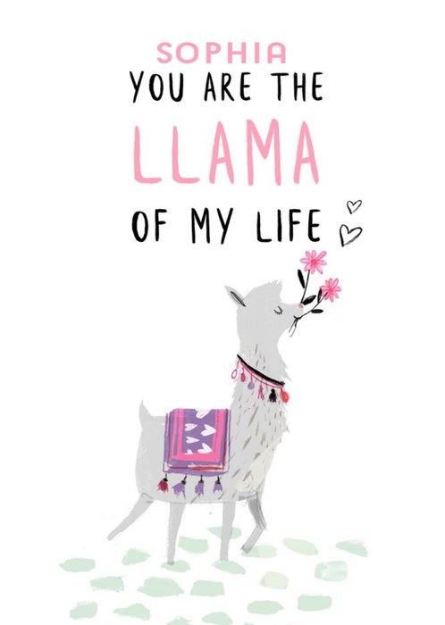 Personalised You Are The Llama Of My Life Funny Valentine's Day Card