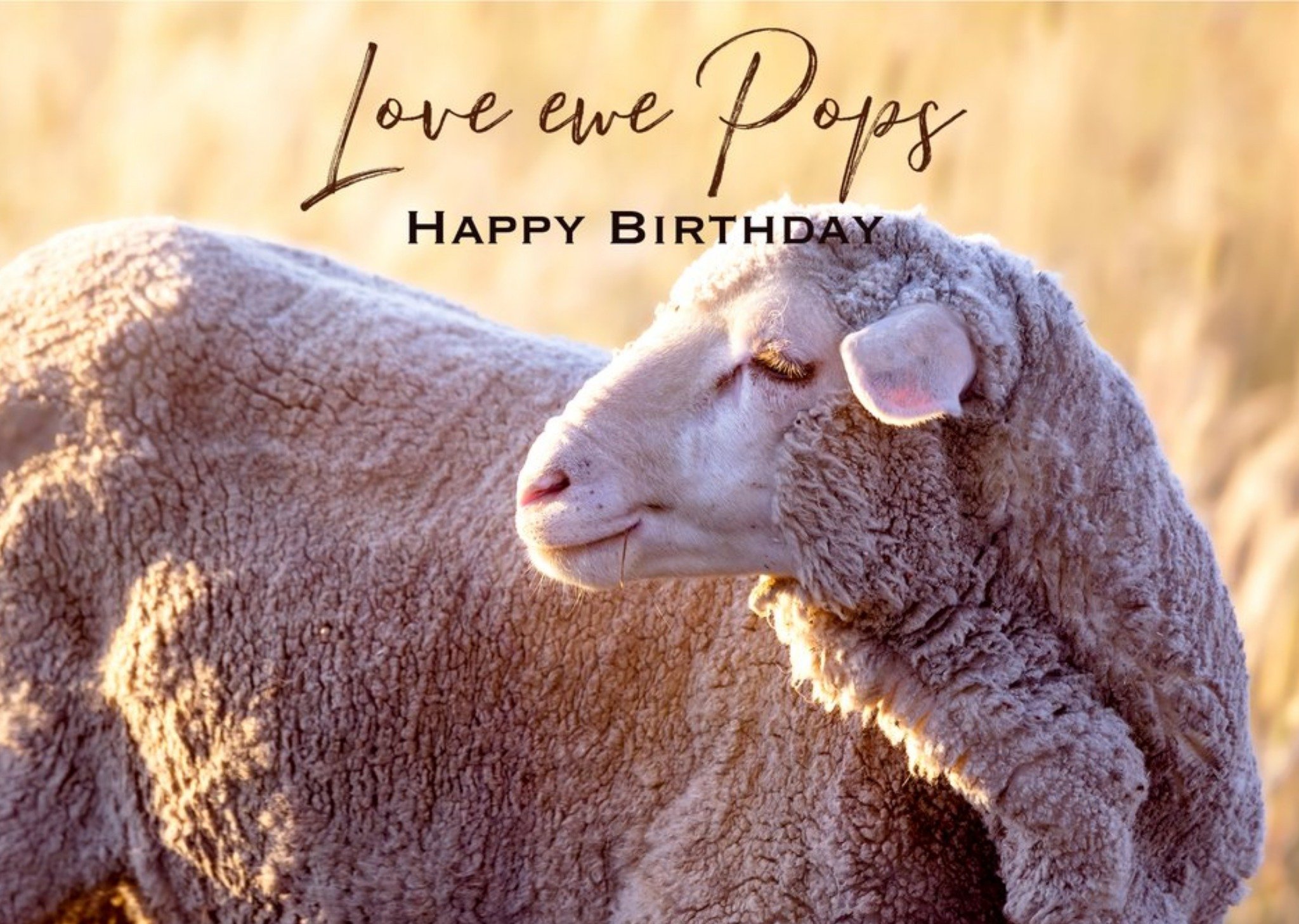 Moonpig Harmonia Grandad Sheep Traditional Birthday Australia Card