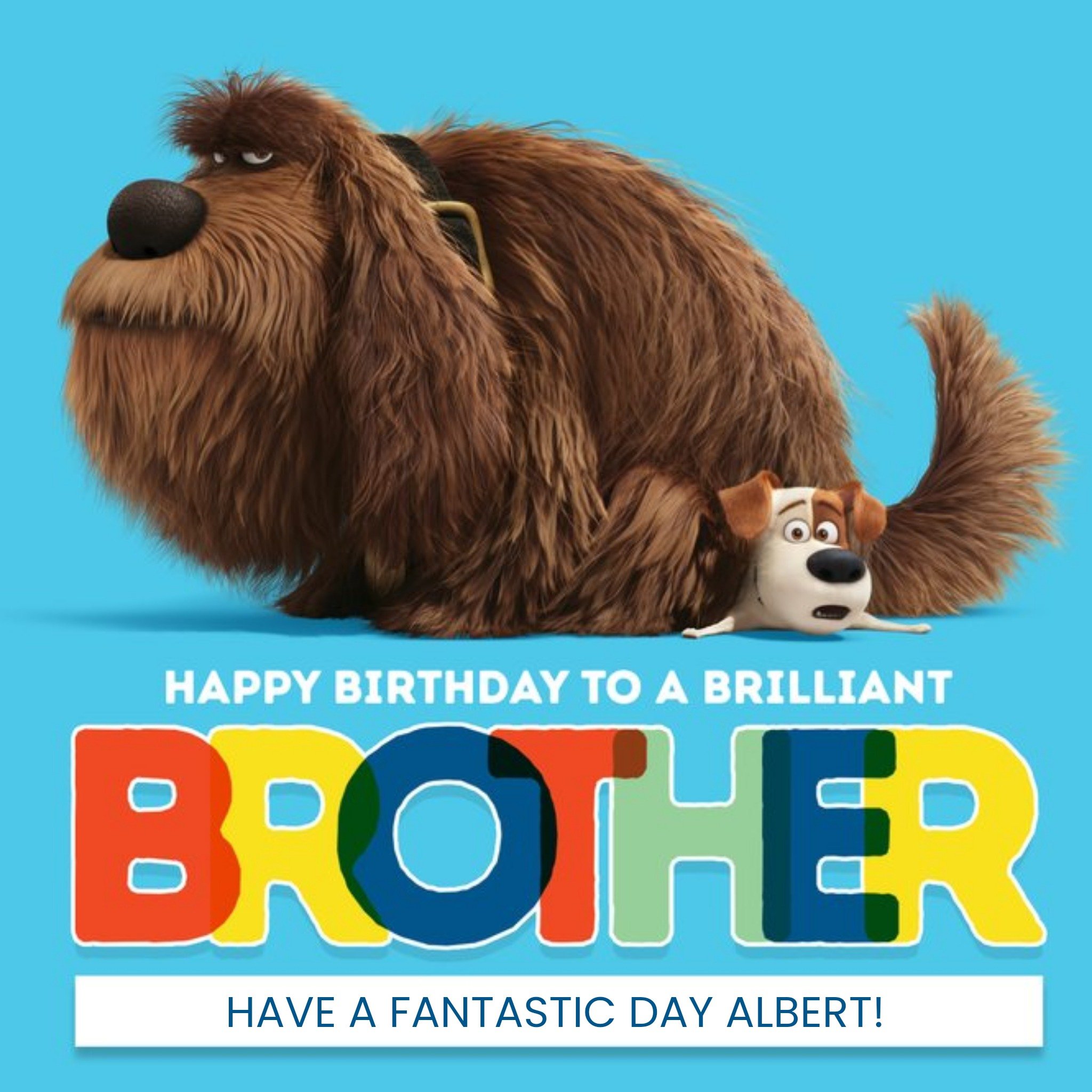 Moonpig The Secret Life Of Pets Happy Birthday Brother Card