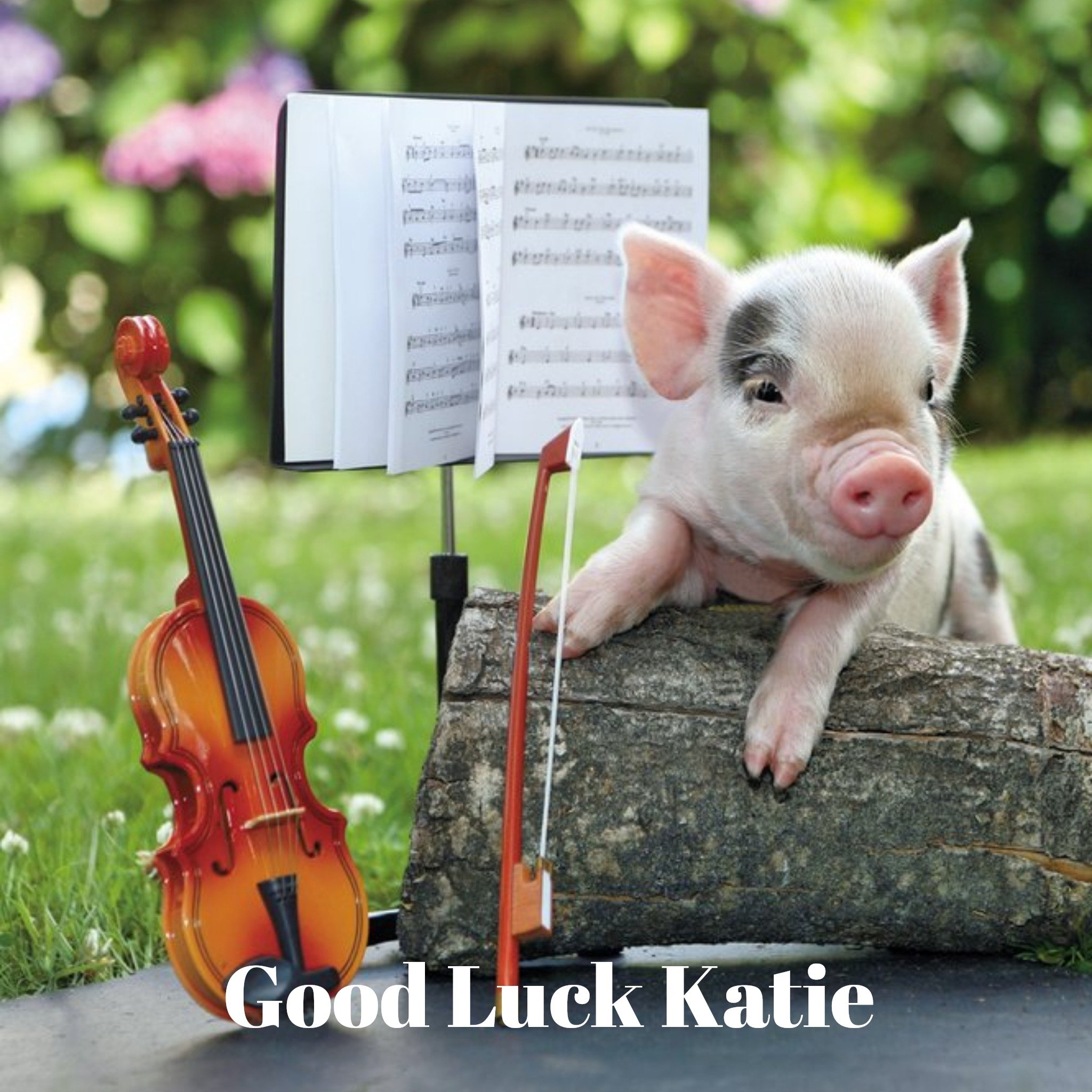 Moonpig Pig And A Fiddle Personalised Good Luck Card