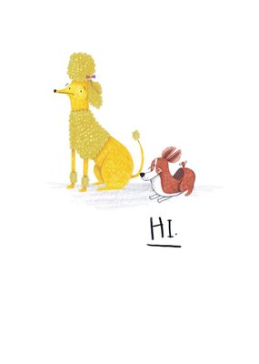 Animal birthday card - dogs - poodle - quick card