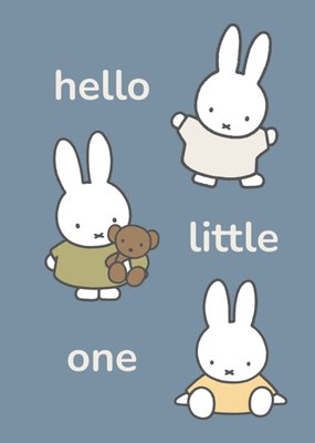 Miffy Little One New Baby Card
