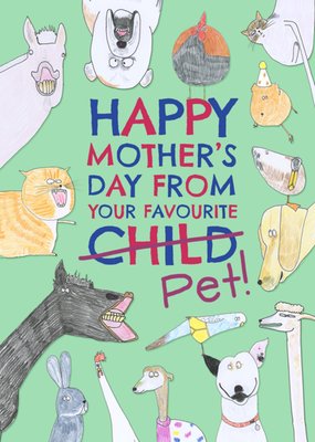 From Your Favourite Pet Happy Mother's Day Card