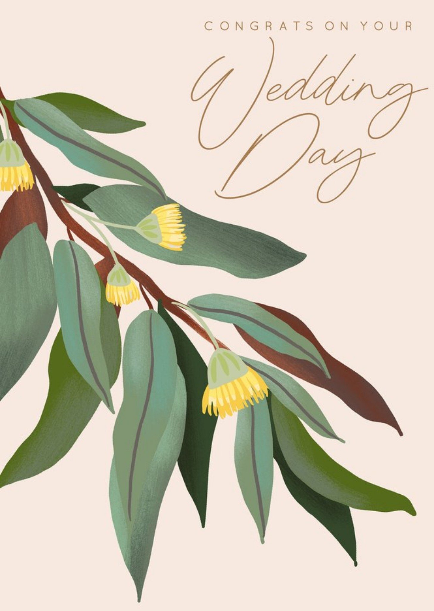 Moonpig Christie Williams Congrats On Your Wedding Day Card