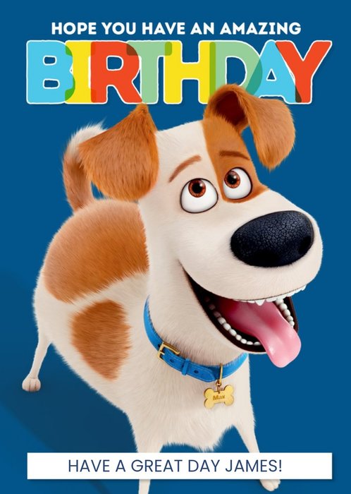 The Secret Life Of Pets Amazing Birthday Card