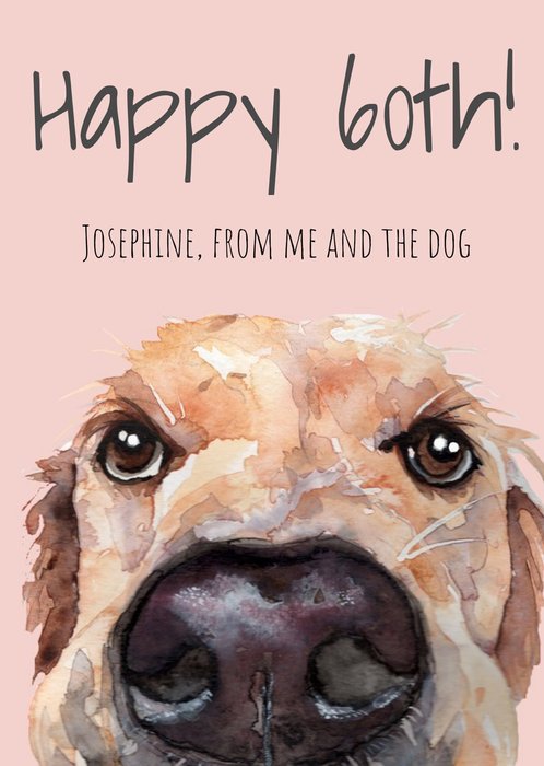 Illustration Of A Two Golden Retrievers Wearing Wellies Happy 60th Birthday Grandpa Card