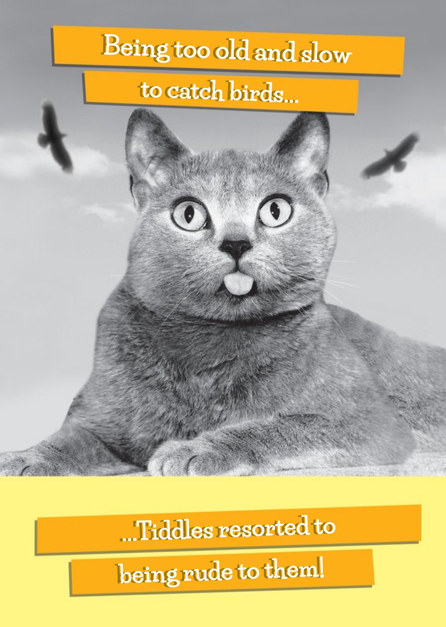 Moonpig The Cat Being Too Old And Slow Funny Birthday Card