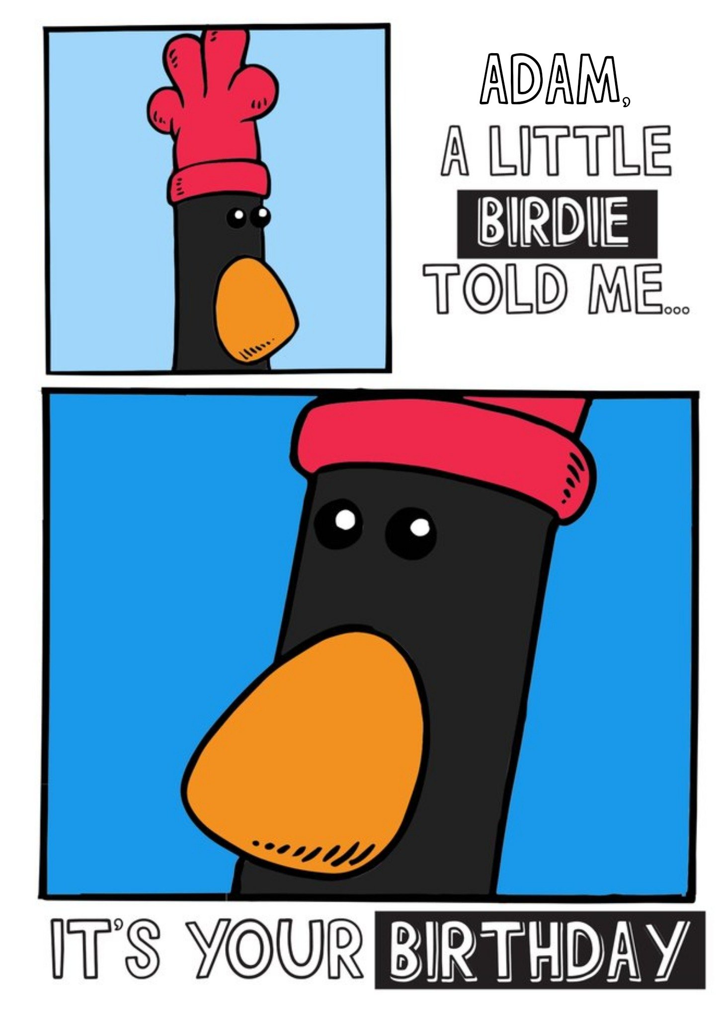 Wallace And Gromit Feathers Mcgraw A Little Birdie Told Me It's Your Birthday