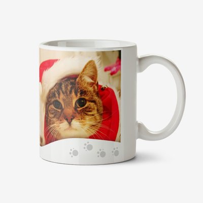 Merry Christmas From Cat Photo Upload Mug