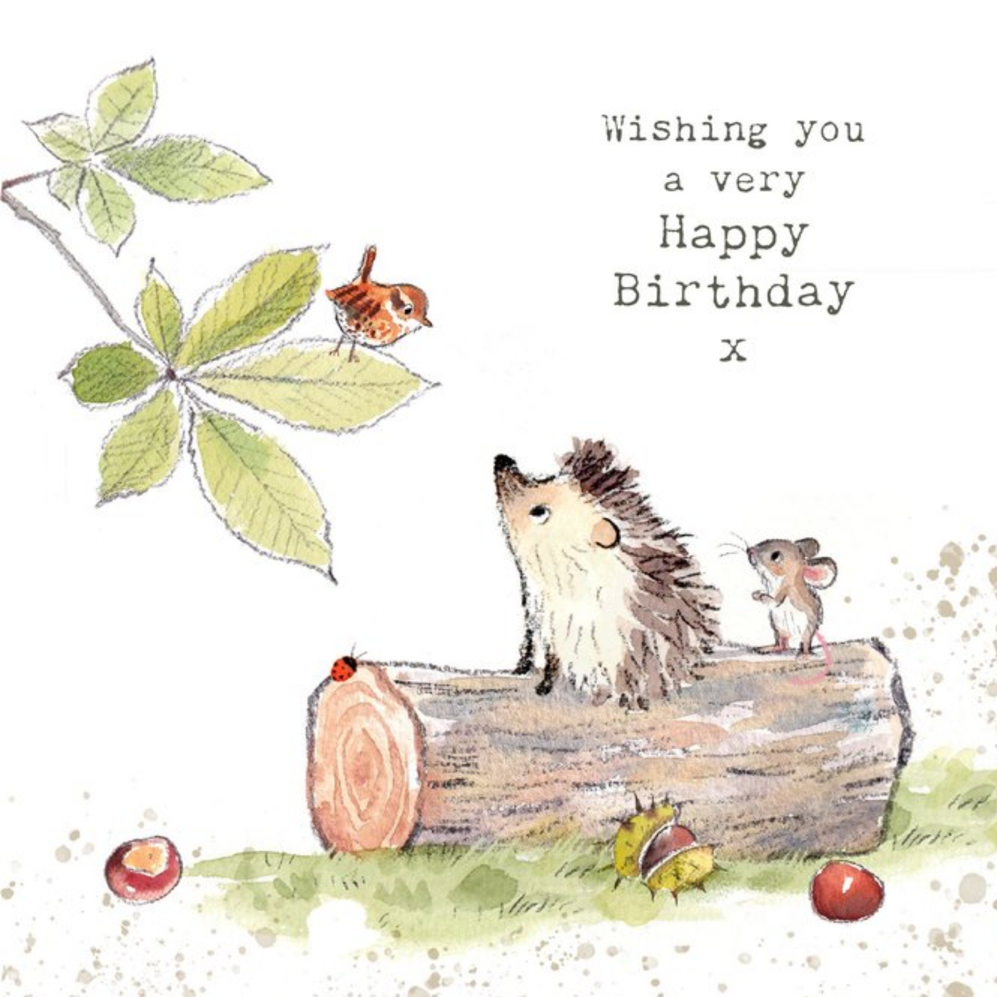 Moonpig Illustration Of A Hedgehog A Mouse And A Bird Birthday Card