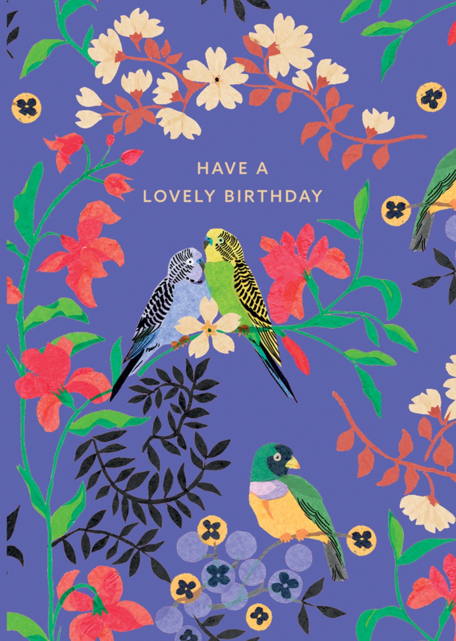 Tropical Birds Illustrated Cath Kidston Birthday Card