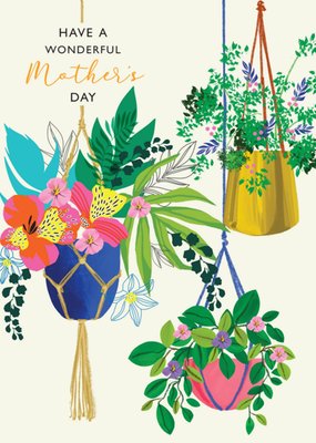 Pretty Have A Wonderful Mother's Illustrated Plants In Hanging Baskets Mother's Day Card
