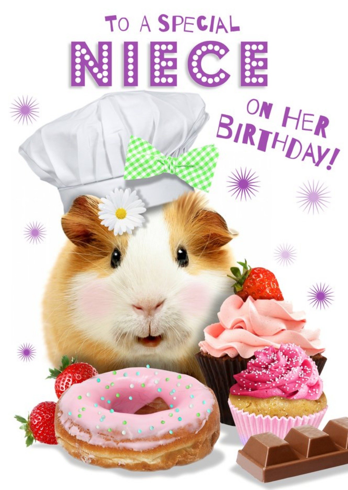 Moonpig To A Special Niece Cute Guinea Pig Birthday Card