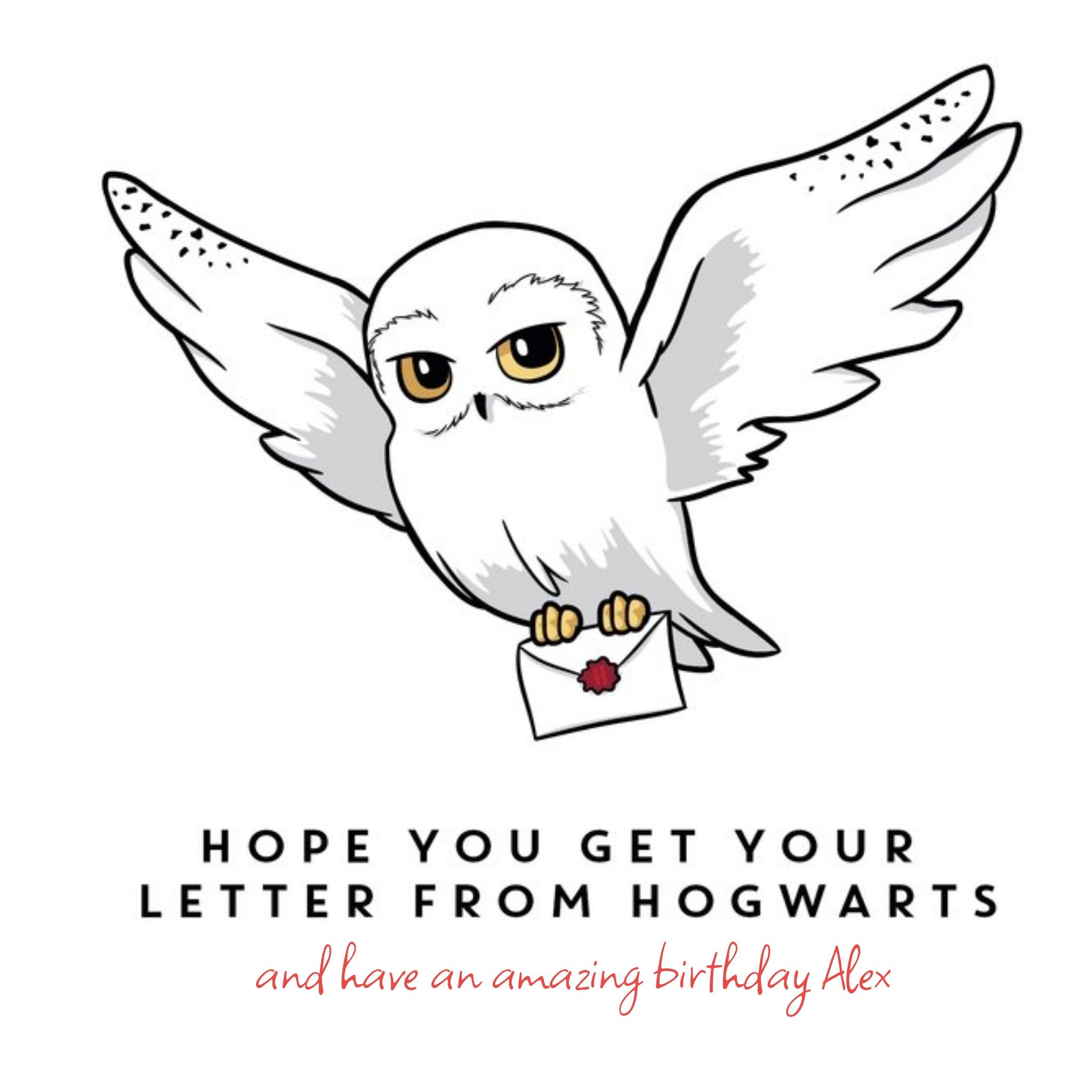 Harry Potter Birthday Card - Hedwig Owl Hogwarts Wizard Letter