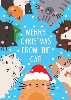 Scribbler Merry Christmas From The Cat Illustrated Card