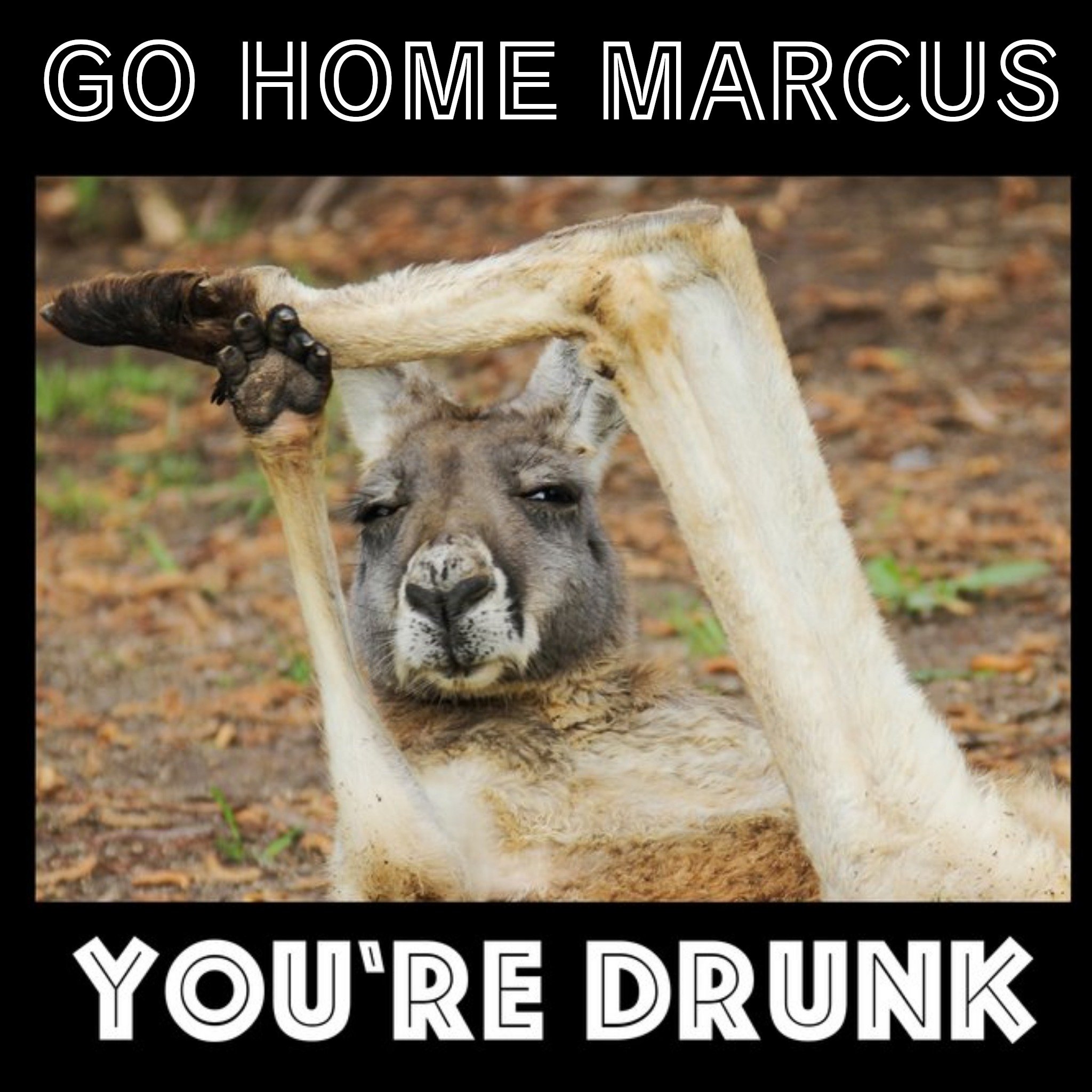 Moonpig Personalised Name Go Home Youre Drunk Kangaroo Card