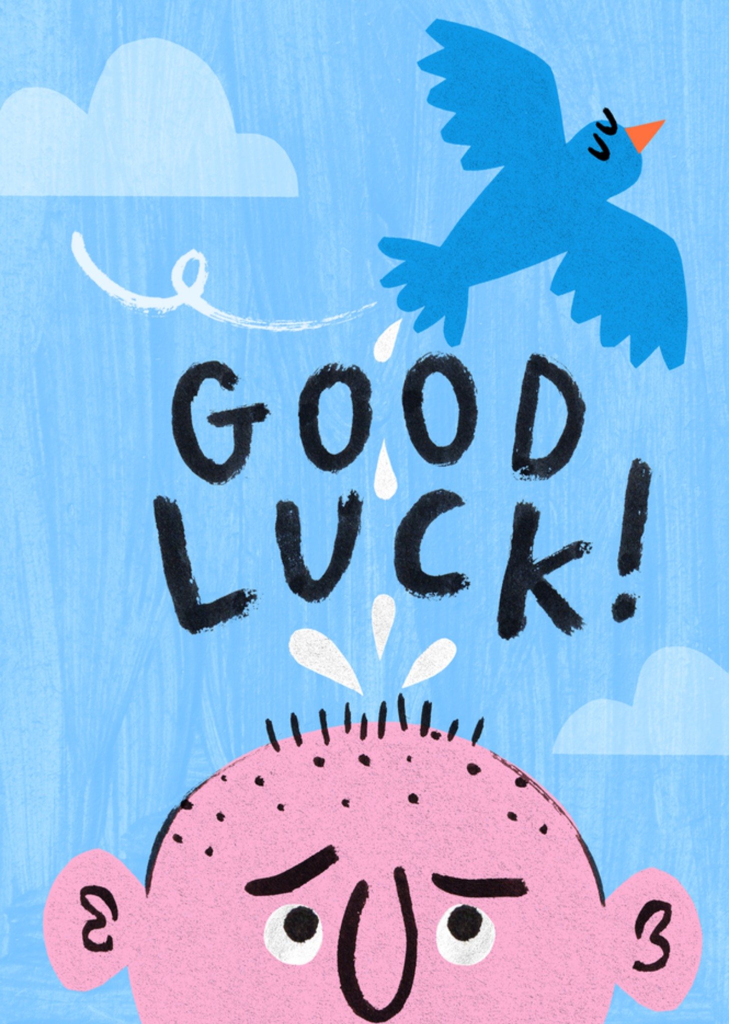 Moonpig Good Luck Bird Dropping Funny Card