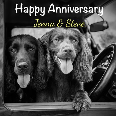 Alex Sharp Photogrpahy Two Spaniel Dogs In A Car Happy Anniversary Card