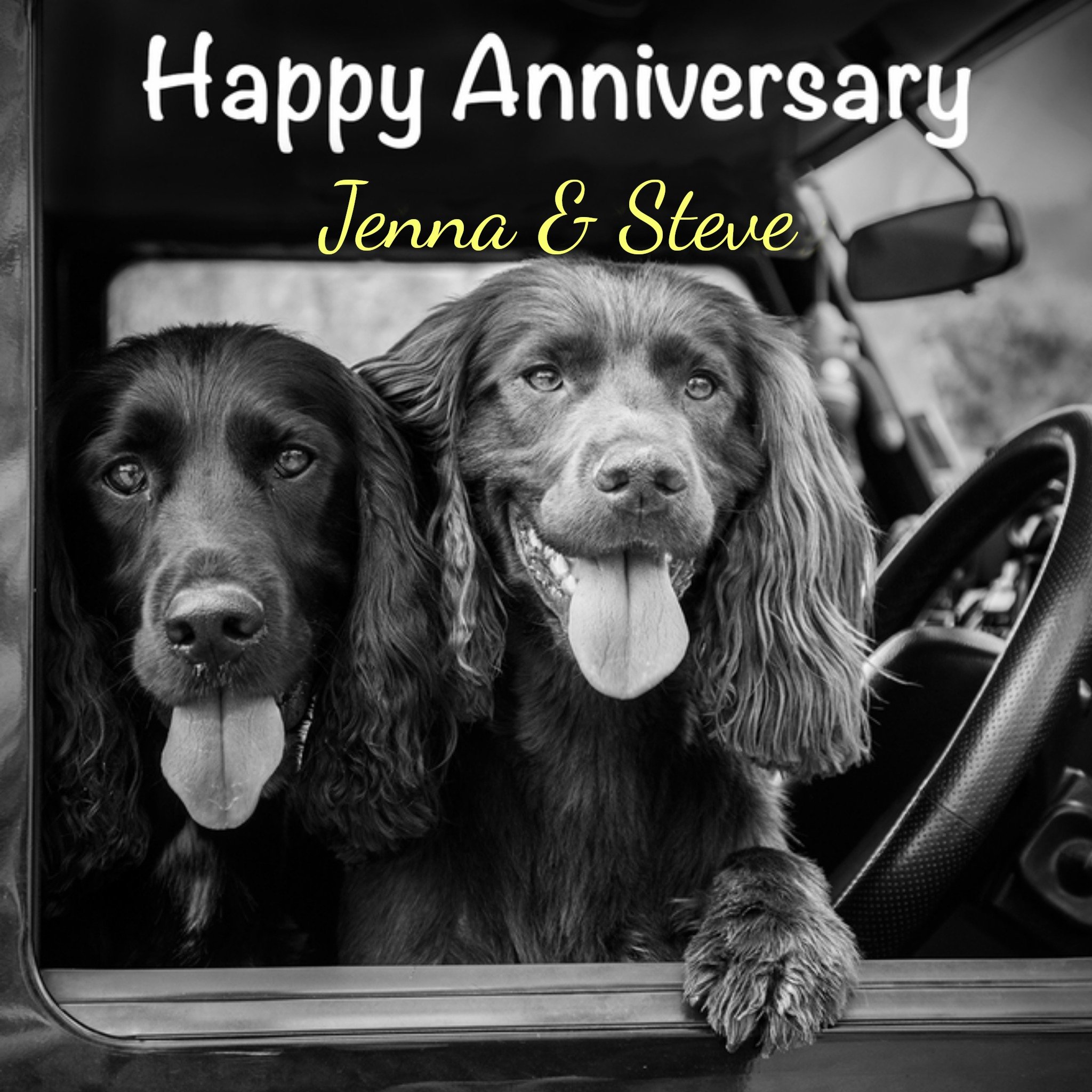 Moonpig Alex Sharp Photogrpahy Two Spaniel Dogs In A Car Happy Anniversary Card, Large