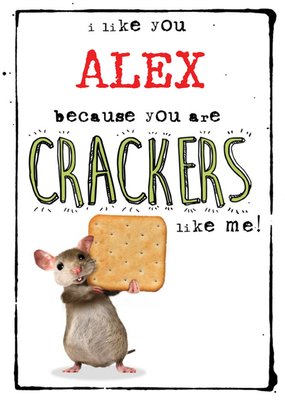 You Are Crackers Like Me Personalised Name Card