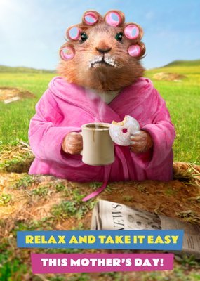 Avanti Relax And Take It Easy Funny Guinea Pig Mother's Day Card