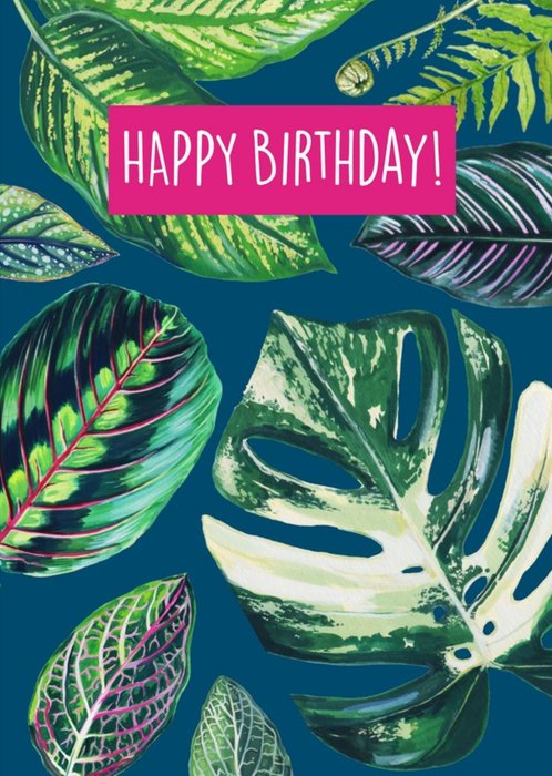 Houseplant Blue Birthday Card